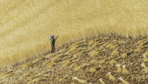 1548493371825346.png image.png